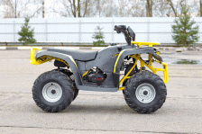 Квадроцикл IRBIS ATV 125 – фото 1