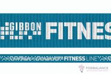 Слэклайн Gibbon FitnessLine 15m – фото 2