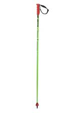 Горнолыжные палки Elan Racerod Slx 2021, green, 110 см