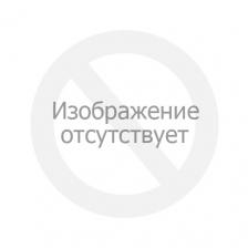 Перфоратор 20W BHD-20LI-BL 93412697 BORT