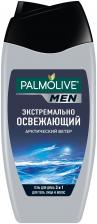 Шампунь Palmolive Арктический ветер 250 мл для мужчин