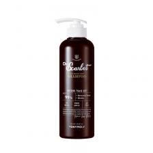 Шампунь Tony Moly Dr.Scarlet Biotension Anti Hair Loss против выпадения волос, 500 мл