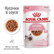 Royal Canin кусочки в соусе для котят 4-12 месяцев (85 г) – фото 1