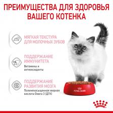 Royal Canin кусочки в соусе для котят 4-12 месяцев (85 г) – фото 4