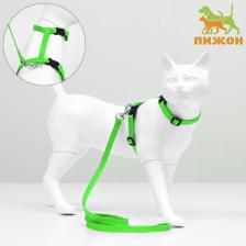 Комплект для кошек, ширина 1 см, ОШ 16,5-27 см, ОГ 21-35 см, поводок 120 см, зелёный