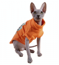 Водолазка для кошек NICOVAER Сфинкс, оранжевый, длина спины 22 см