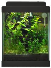 Aqua Gessa Аква Гесса Нано аквариум 10л черный Aqua Gessa Аква Гесса Нано аквариум 10л черный