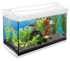 Tetra AquaArt LED Tropical аквариумный комплекс 60 л с LED освещением, белый Tetra AquaArt LED Tropical аквариумный комплекс 60 л с LED освещением, белый