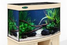 Аквариум Zelaqua 180л панорамный (900х470х560) беленый дуб Аквариум Zelaqua 180л панорамный (900х470х560) беленый дуб