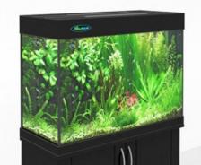 Аквариум Zelaqua 120л (700х350х560) черный Аквариум Zelaqua 120л (700х350х560) черный