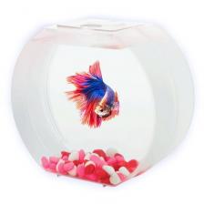 AA-Aquariums Аквариум "Betta О", 1,4л, розовый, 163* 84*145мм (73506003) AA-Aquariums Аквариум "Betta О", 1,4л, розовый, 163* 84*145мм (73506003)