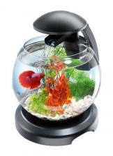Tetra Cascade Globe аквариумный комплекс черный 6,8 л Tetra Cascade Globe аквариумный комплекс черный 6,8 л