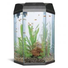 AA Aquariums Аквариум Hexagon, 22л, черный, 330*300*433мм AA Aquariums Аквариум Hexagon, 22л, черный, 330*300*433мм