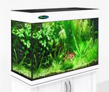 Аквариум Zelaqua 120л (700х350х560) белый Аквариум Zelaqua 120л (700х350х560) белый