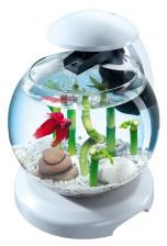 Tetra Cascade Globe White аквариумный комплекс белый 6,8 л Tetra Cascade Globe White аквариумный комплекс белый 6,8 л