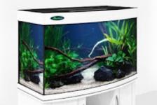 Аквариум Zelaqua 180л панорамный (900х470х560) белый Аквариум Zelaqua 180л панорамный (900х470х560) белый