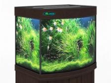 Аквариум Zelaqua 140л панорамный (700х420х560) венге Аквариум Zelaqua 140л панорамный (700х420х560) венге