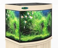 Аквариум Zelaqua 140л панорамный (700х420х560) беленый дуб Аквариум Zelaqua 140л панорамный (700х420х560) беленый дуб