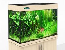 Аквариум Zelaqua 120л (700х350х560) беленый дуб Аквариум Zelaqua 120л (700х350х560) беленый дуб