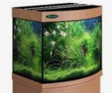 Аквариум Zelaqua 140л панорамный (700х420х560) орех Аквариум Zelaqua 140л панорамный (700х420х560) орех