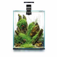 Aquael Аквариум Shrimp Set SMART LED D/N 10/10л черный, 20х20х25см. Комплектация: покрывное стекло, свет Leddy Smart Led Day/Night 1х4,8Вт, фильтрTurbo mini, нагреватель нерегулируе Aquael Аквариум Shrimp Set SMART LED D/N 10/10л черный, 20х20х25см. Комплектация: покрывное стекло, свет Leddy Smart Led Day/Night 1х4,8Вт, фильтрTurbo mini, нагреватель нерегулируе