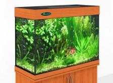 Аквариум Zelaqua 120л (700х350х560) вишня Аквариум Zelaqua 120л (700х350х560) вишня