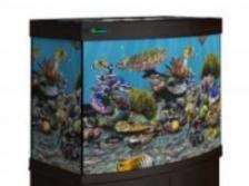 Аквариум Zelaqua 140л панорамный (700х420х560) черный Аквариум Zelaqua 140л панорамный (700х420х560) черный