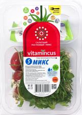Салатный ростковый микс Vitamincus Микс 5 100г