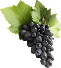Виноград черный , ЮАР, 0,3кг