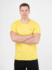 Мужская футболка «Великоросс» желтого цвета круглый ворот – фото 3