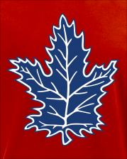 Aksisur Футболка с принтом НХЛ Торонто Мейпл Лифс (NHL Toronto Maple Leafs) красная 004 – фото 1