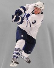 Aksisur Футболка с принтом НХЛ Торонто Мейпл Лифс (NHL Toronto Maple Leafs) серая 005 – фото 1