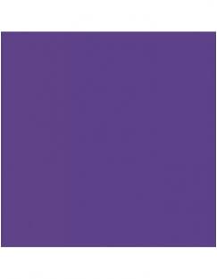 Фон бумажный Raylab 002 Purple Фиолетовый 2.72x11 м хорошее состояние