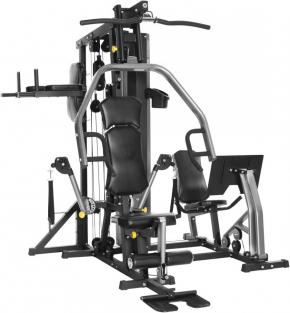 Horizon Home Gym Torus 5 Силовой комплекс мультистанция