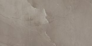 Плитка настенная Azteca Ceramica Passion Lux 90 Taupe 45x90