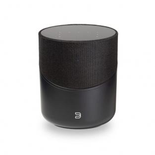 BlueSound PULSE M Black