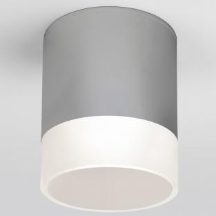 Накладной светильник Elektrostandard Light LED 35140/H серый от ImperiumLoft