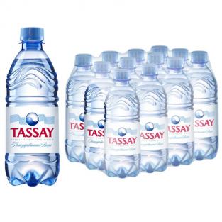 Вода питьевая TASSAY негазированная 0,5 л платиковая бутылка (12 штук в упаковке)