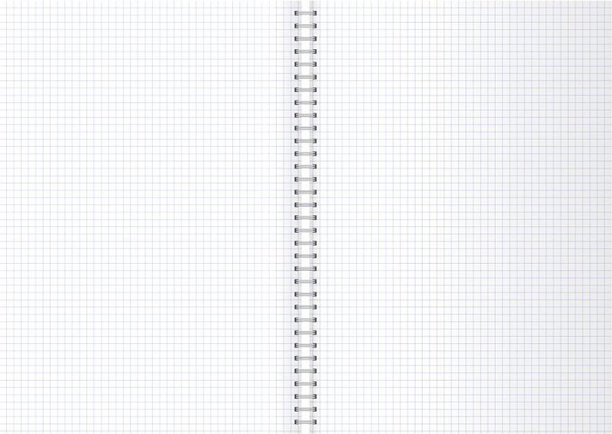 Тетрадный лист с полями. Лист тетради в клетку. Лист а4 в клетку для печати без полей. Лист в клеточку. Лист тетради в линейку.
