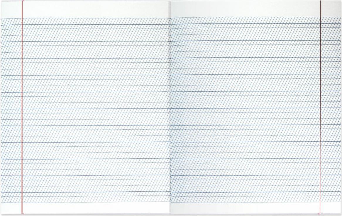 Тетрадь в крупную линейку. Тетрадь в узкую косую линейку. Тетрадь в линейку. Hatber скоба, узкая линия,. Лист тетради в линейку.