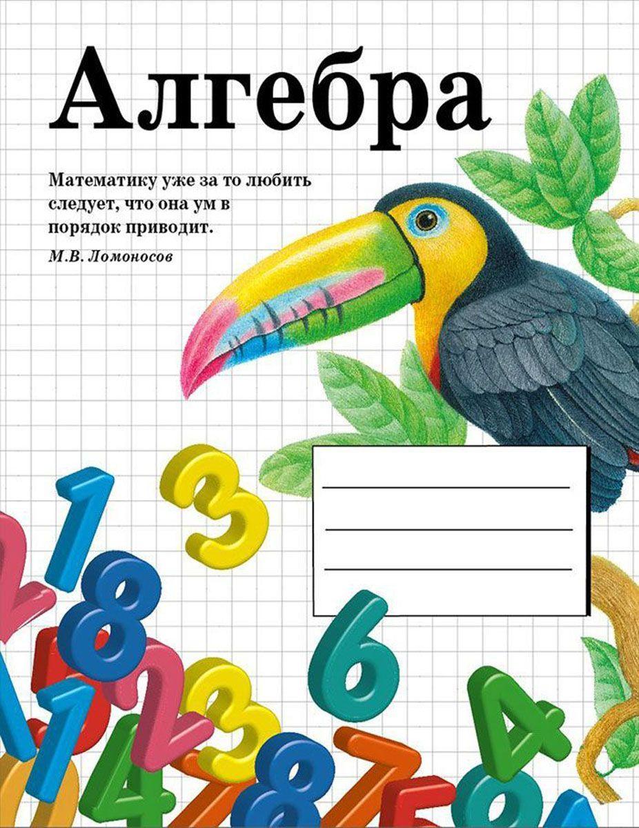 шевелев готовимся к школе 5-6 лет рабочая тетрадь математика. предметные тетради 48 листов. тетрадь по математике 2 класс гейдман. школьная программа математика тренажерная тетрадь. тетради для школы для математики.