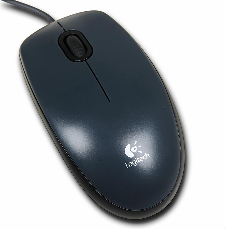 Мыши недорого. Мышка логитеч m100. Компьютерная мышь Logitech m100. Мышь компьютерная Logitech m169. Мышь компьютерная Logitech m172.