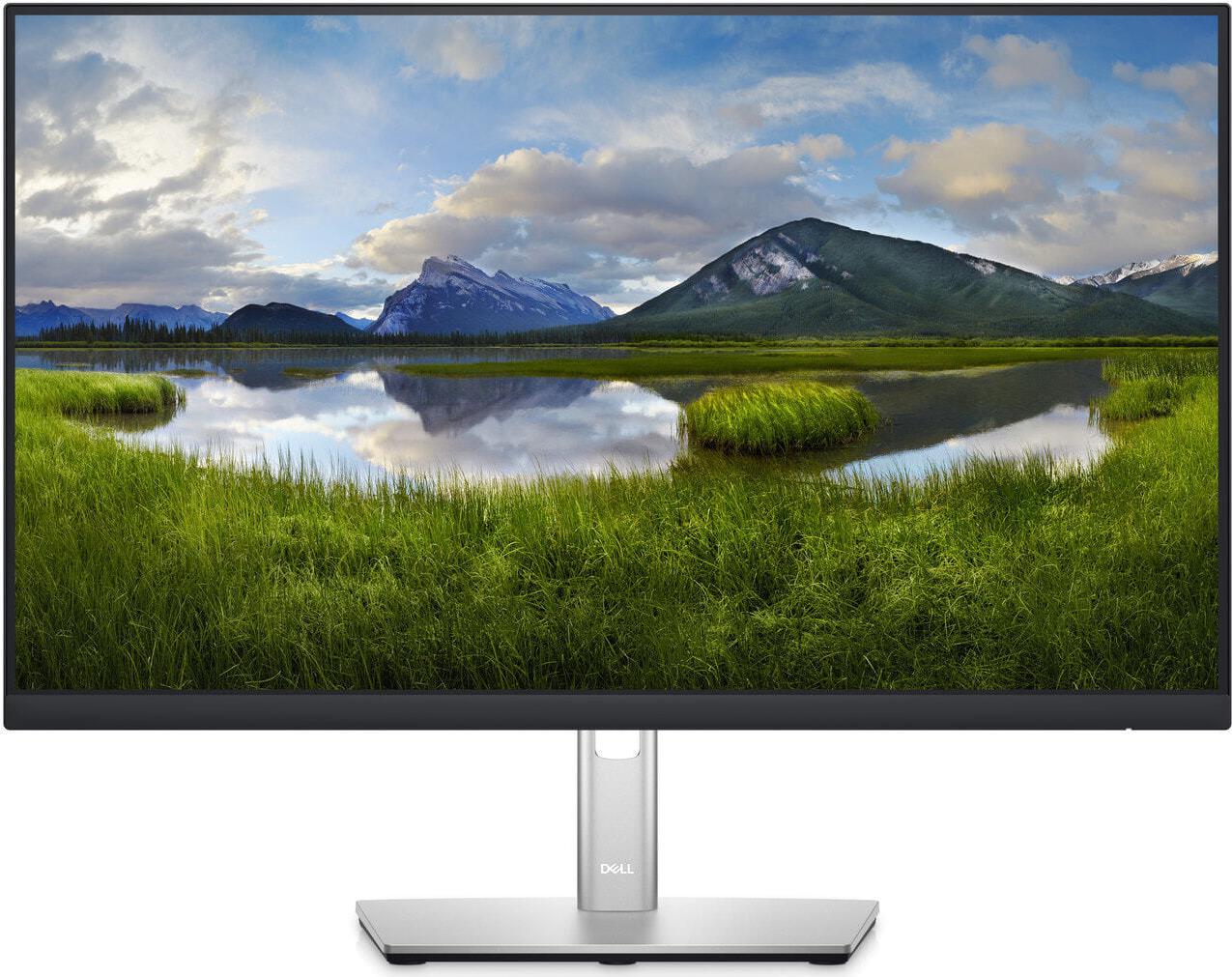 Dell P2422HE