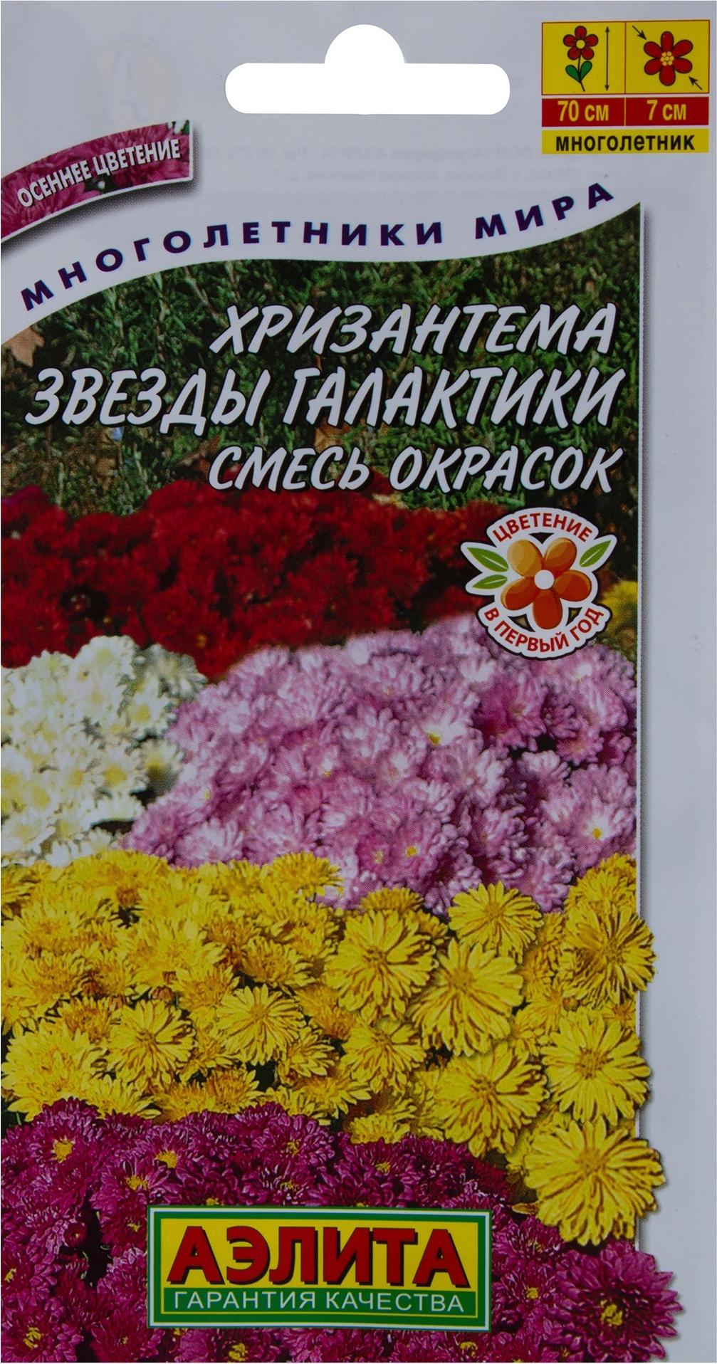Хризантема корейская звезды галактики