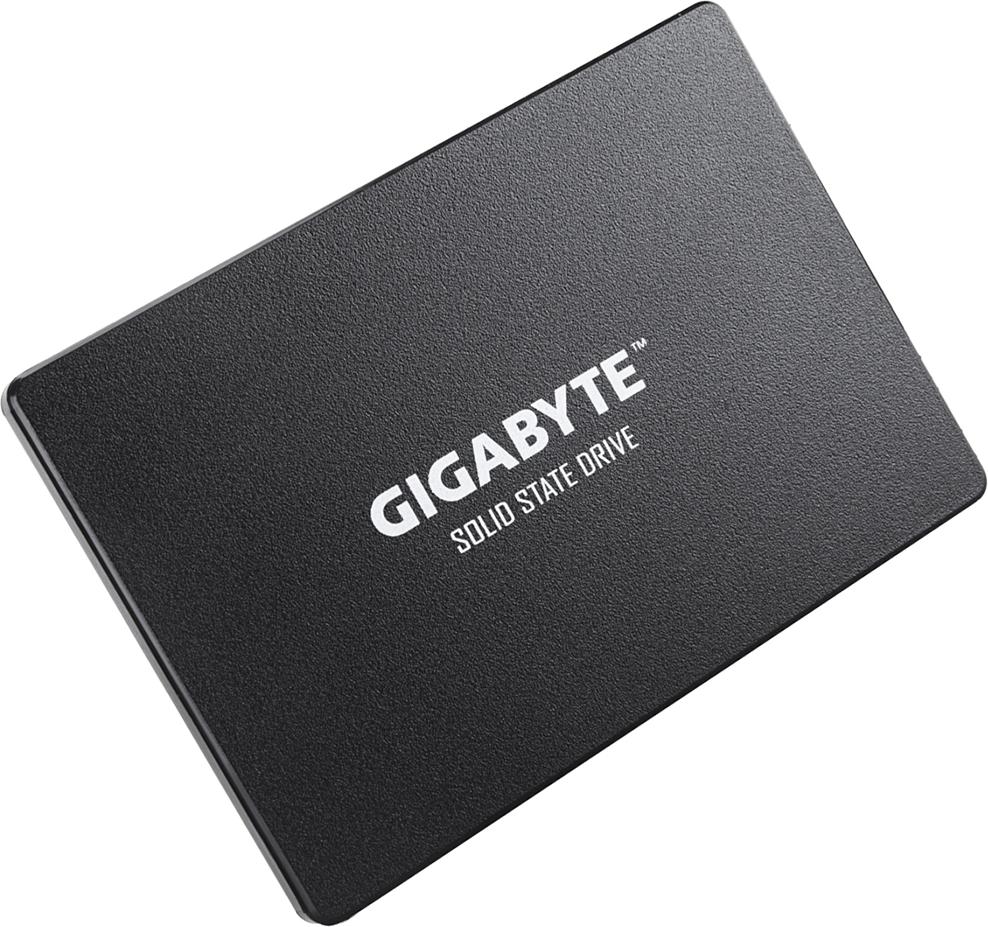 Gigabyte GP-GSTFS31256GTND