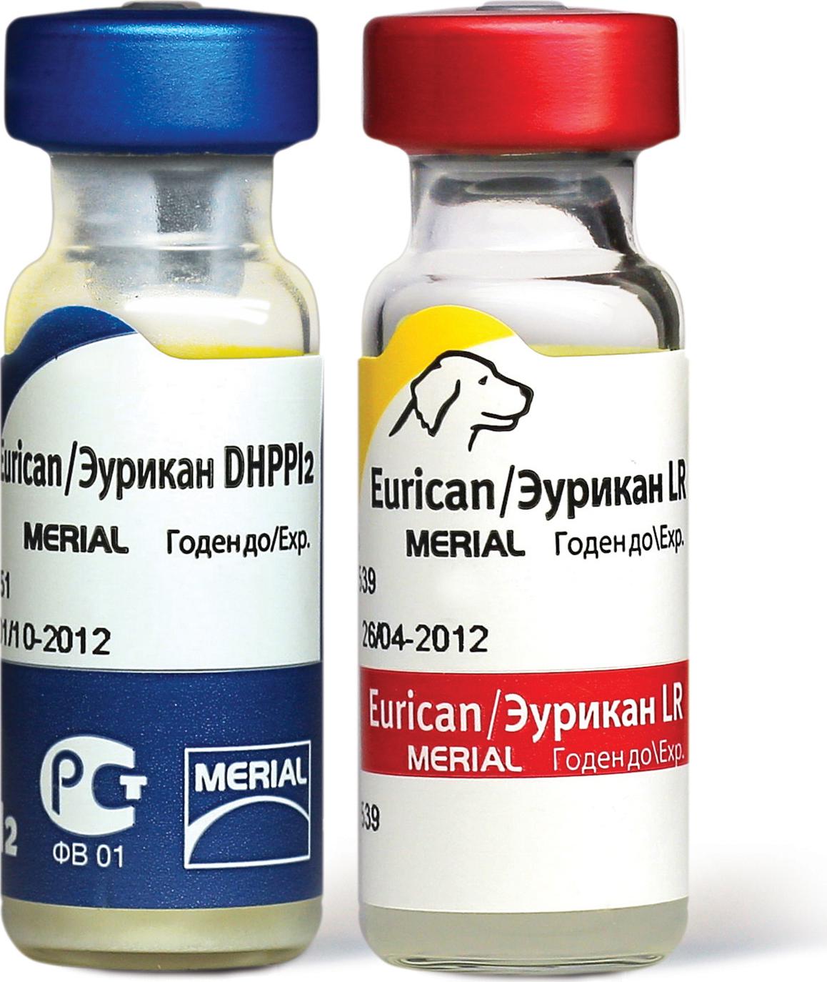 Эурикан dhppi. Эурикан dhppi2 вакцина для собак. Вакцина эурикан dhppi+rl 1доза,. Эурикан лепто вакцина для собак. Эурикан lr и dhppi2.