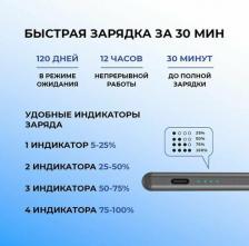 Аксессуар для цифрового аудио Deppa Стилус активный Magic Pencil Pro для iPad, графит, 63163