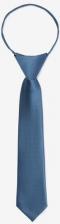 Аксессуар для мальчика Gulliver Галстук 224GSBC8605, голубой, 122-140