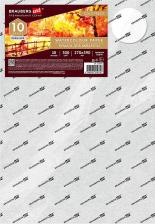 Альбом Brauberg Бумага для акварели 300 г, 270x390 мм, среднее зерно, 10 листов, PREMIERE, 115335 115335