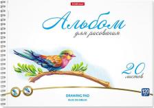 Альбом Erich Krause Альбом для рисования на спирали "Birds", A4, 20 листов, микроперфорация